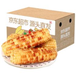 京鲜生 云南小花糯玉米净重4斤 单根100g+蔬菜减脂代餐 源头直发