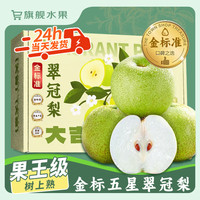 鲜其 正宗砀山梨青梨翠冠梨 5斤 果王级I单果350+g