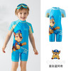 Paw Patrol 汪汪队立大功 027 儿童泳衣