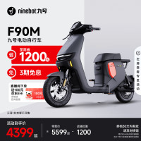 今日必买：九号 远行者 F90M 电动自行车 TDT056Z 黑色
