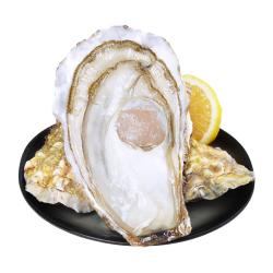 鲜海道 生蚝 鲜活乳山牡蛎贝类 源头直发 3XL-净重5斤  3XL-净重5斤