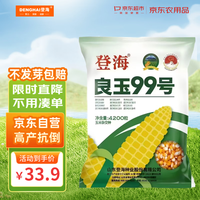 登海 良玉99 高产玉米种子 4200粒/袋