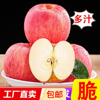 FUJI 富士 烟台苹果水果栖霞红富士新鲜生鲜果山东特产脆甜 精品果 净重8.5斤（果径75mm以上）
