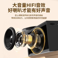 Nakamichi/中道 蓝牙黑胶音响 迷你复古唱片音箱