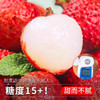 春福乐荔枝【SF/JD上门】玉荷包荔枝新鲜老树荔枝福建当季新鲜水果礼盒 5斤精选装丨果农手选丨净重4.5斤