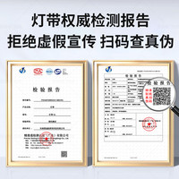 雷迪航 led霓虹柔性圆形360度软灯带户外防水广告超亮招牌线条灯工程亮化