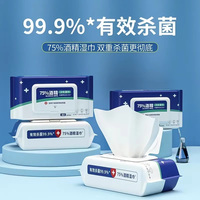洛伊丝 80抽含75度酒精消毒湿巾办公家用卫生杀菌湿纸巾大包抑菌便携