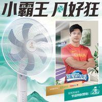 小霸王风扇落地扇电风扇家用卧室大风力电扇立式AI语音遥控落地扇