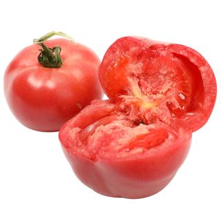 北蔬普罗旺斯西红柿苗番茄苗蔬菜秧苗春季 普罗旺斯西红柿苗 3棵