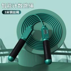 函翔 无绳跳绳钢丝成人儿童两用负重智能计数电子大球跳绳体育运动用品