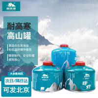 金字塔 PYRAMID 扁气罐高山罐卡式炉气罐高原户外燃气炉具瓦斯450g*1罐