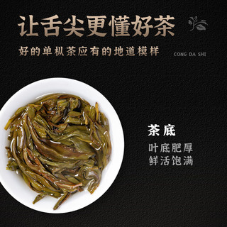 枞大师 鸭屎香凤凰单枞茶叶 乌龙单丛茶 【新客首选】鸭屎香品尝装
