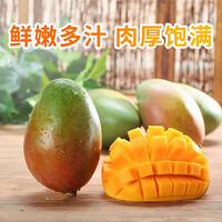 庾丰 当季现摘芒果 新鲜水果整箱 热带青皮芒 当季 生鲜 10斤装(净果9斤)甄选果