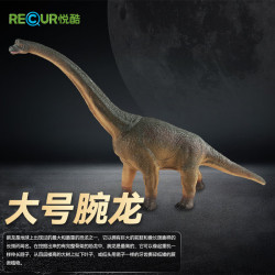 悦酷 RECUR 腕龙（大号）仿真恐龙玩具模型