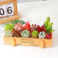 百潮盛多肉植物 小盆栽 豪华套装多肉组合桃蛋玉露绿植花卉园艺花卉 8颗多肉不重复+木盆+营养土 选项文字有标注