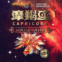 拼酷3d立体金属拼图浪漫千鹤拼装模型手工diy创意新年 摩羯座+工具+防尘罩+灯串+支架