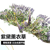 拼酷3d立体金属拼图浪漫千鹤拼装模型手工diy创意新年 玲珑桃花+玻璃罩+金属支架+工具