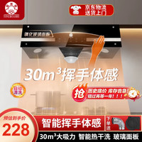 樱花树 油烟机家用大吸力中式抽油烟机出租房厨房小户型小尺寸老式吸油烟机