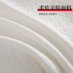 可口可乐 慢回弹记忆棉枕颈椎护颈枕多功能家用酒店专用白色枕头枕芯 B类 一对 低枕 10cm 40*60±3cm