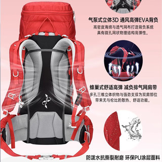 艾王 AIONE艾王户外登山包专业轻量化旅行包徒步旅行爬山防泼水双肩包50升 烟雨灰背负系统+防雨罩