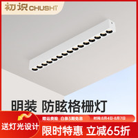 初识（茶叶） 初识 led明装射灯 冰川白 15头 24W 3500K 舒适光