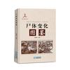 《尸体变化图鉴》