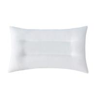 水星儿童（MERCURY Kids）水星家纺 幼儿园抗菌舒适枕30cm×50cm 抗菌防螨 婴幼儿A类