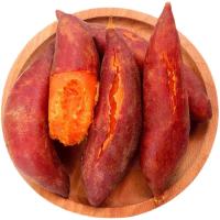 亨泰丰源 新鲜红薯 蜜薯鲜挖现发 沙地瓜  8.5斤新鲜蜜薯