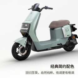 爱玛 卫士AB51 长续航电动自行车 TDR8106Z