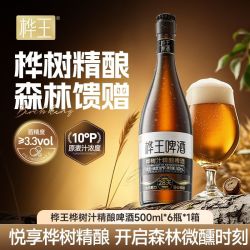 桦王 小兴安岭白桦树汁精酿啤酒 500ml*6瓶
