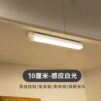 以典led人体感应灯带楼道走廊橱柜衣柜灯镜前灯柜底灯家用小夜灯 100mm白光单支装