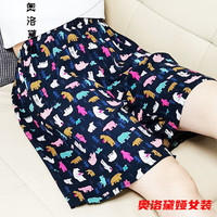 奥洛黛娅 女士短裤 小熊熊   L 80-109斤