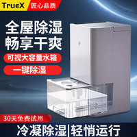 TrueX 除湿机器小型卧室干燥家用桌面迷你吸湿抽湿机除湿机