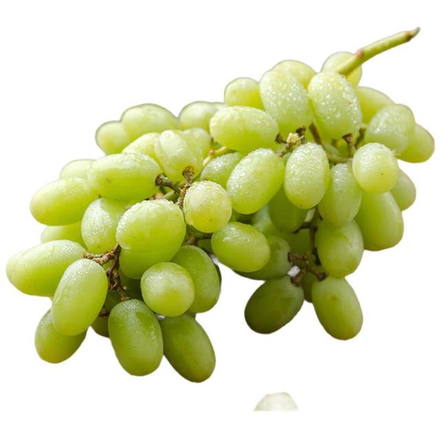 京鲜生 新疆无核白葡萄净重3.5-4斤装 生鲜水果 源头直发 易掉粒