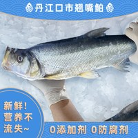 源头地丹江口翘嘴鲌鱼新鲜生态淡水十堰大白刁子鱼白鱼整条湖北特产 4斤/装（每条0.9-1.1斤左右） 2kg