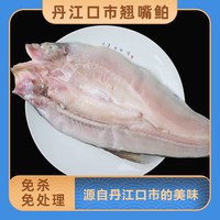 源头地丹江口翘嘴鲌鱼新鲜生态淡水十堰大白刁子鱼白鱼整条湖北特产 5斤/装（每条1-1.3斤左右） 2.5kg