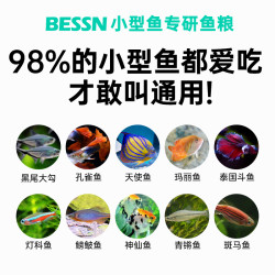 Bessn 贝森小型鱼专用饲料上浮缓沉孔雀鱼斑马鱼黑尾大勾热带鱼粮