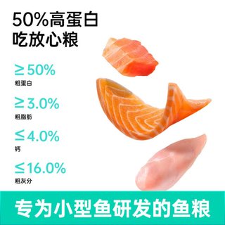 BESSN贝森小型鱼鱼粮饲料热带鱼金鱼七彩神仙鱼斗鱼孔雀鱼饲料 五星全效合一缓沉0.2毫米/130ml