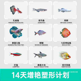 BESSN贝森小型鱼鱼粮饲料热带鱼金鱼七彩神仙鱼斗鱼孔雀鱼饲料 五星全效合一缓沉0.2毫米/130ml