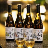 知梅者 微醺派对梅子酒女士朋友聚会低度酒小甜酒 13.5度酸甜平衡