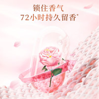 立白 Liby大师香氛香水洗衣液持久留香炫彩柔顺护衣护型洗衣液 【拍2份13斤】香氛洗衣液