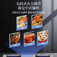樱花燃气灶天然气5.0KW大火力煤气灶双灶液化气灶台嵌入式台式两用家用灶具大开孔700x40020% 5.0KW猛火爆炒+不锈钢面板+熄火保护 天然气