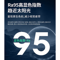 雷士 LED吸顶灯 智能高显柔光 四室一厅套装
