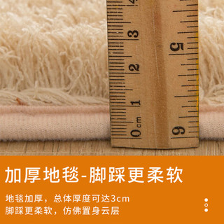 布迪思高端羊羔绒客厅卧室地毯轻奢纯色家用沙发茶几加厚防滑毛绒床边毯 羊羔绒-浅驼色 180*250CM