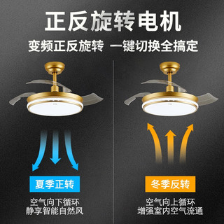 佛山照明 星轨系列 变频隐形吊扇灯 金色 36寸 SKU