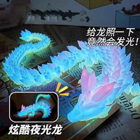 龙太龙味 炫彩夜光飞龙 3D打印水晶龙 全关节可动仿真玩具摆件（30cm）
