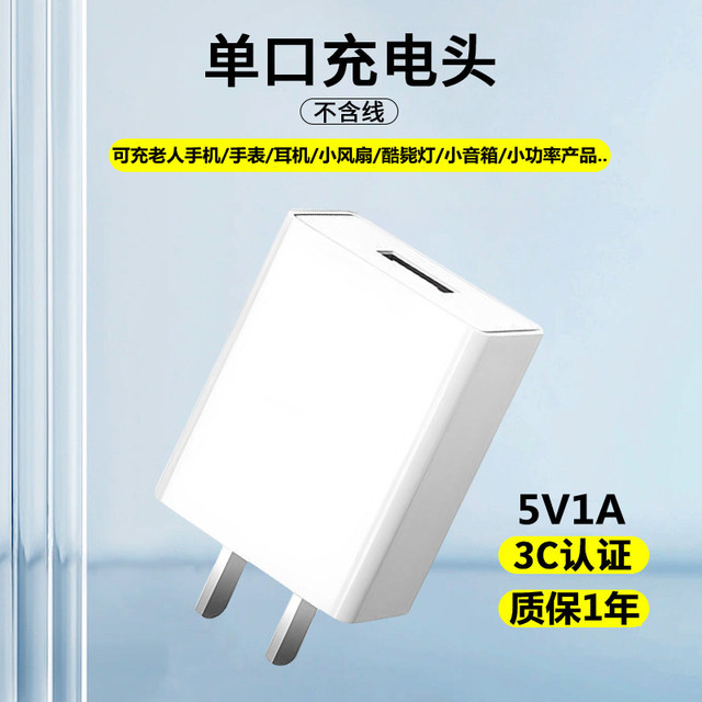 蓝廷 充电器头5V1A