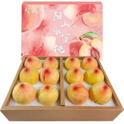 阳山 水蜜桃 一级果5-6两 12个礼盒装