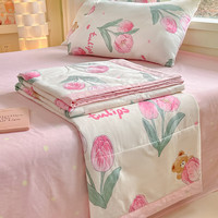 红蜻蜓 RED DRAGONFLY被子夏季夏凉被双人空调被纯棉100%双面可机洗抗菌被芯200x230cm 茉莉幻想【全棉面料+全棉填充】 150cm*200cm