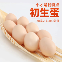 京喜 新鲜土鸡蛋 40g*30枚